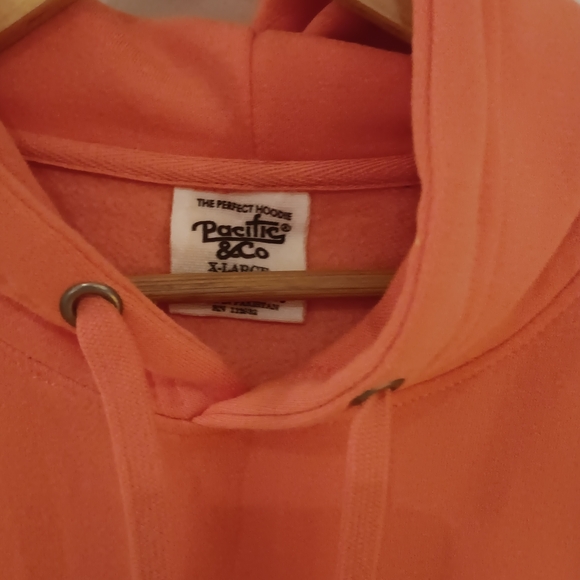 CO Orange Dog Graphic Hoodie with Navy Print - Picture 3 of 5